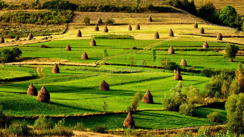 Sunrise in the Transylvania county Romania with fields of haystack