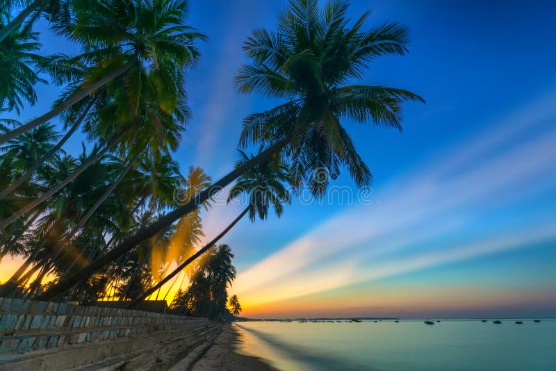 Sunrise on the tropical beach with sun rays piercing through the coconut palm trees