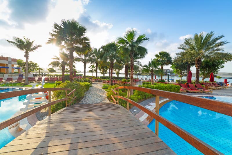 Sunrise at the tropical swimming pool