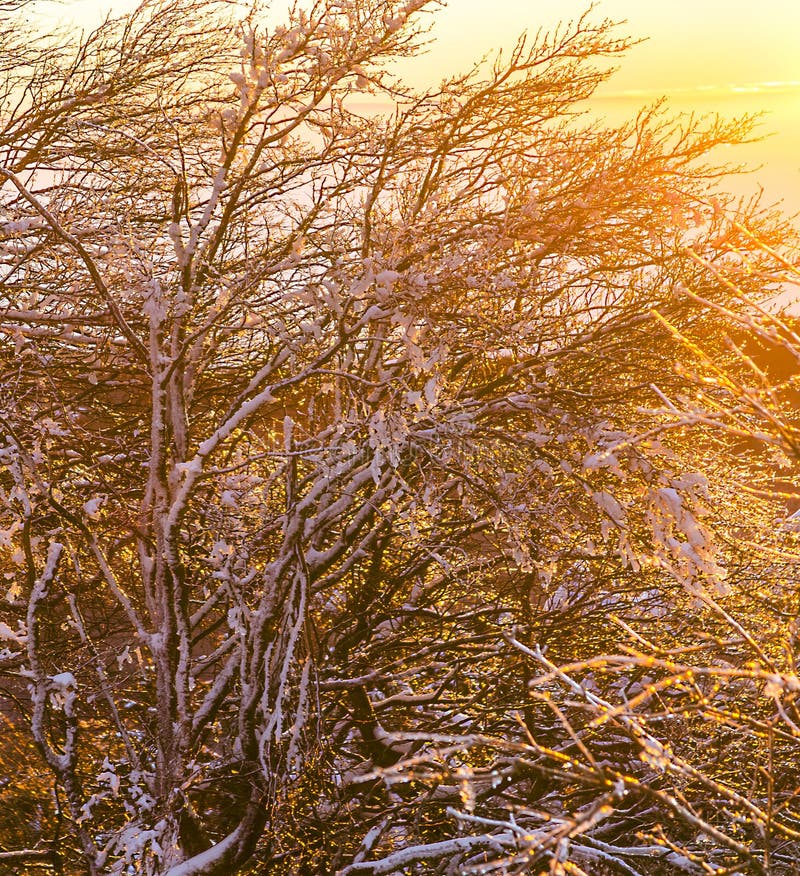 Sunrise under the winter calm mountain landscape with beautiful