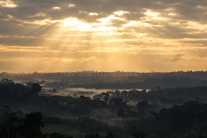 Sunrise View Of Amazon Rainforest Stock Image Image of climate