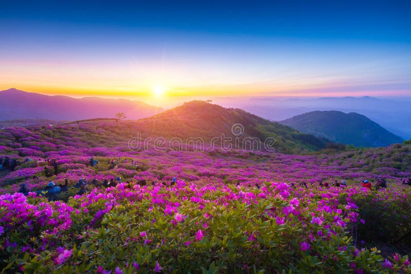 Hapcheon Stock Photos - Free & Royalty-Free Stock Photos Hapcheon Stock Photos - Free & Royalty-Free Stock Photos