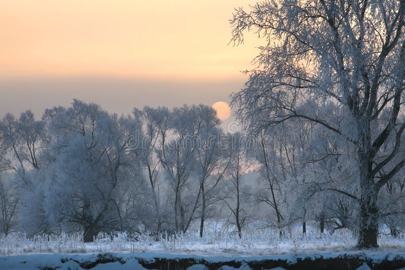 Sunrise in winter