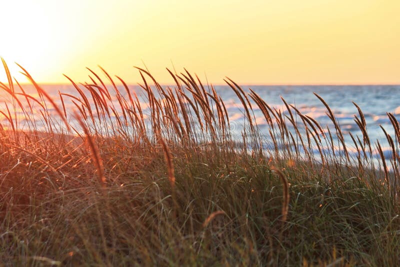 Sunset Along Beautiful Lake Michigan Beach with View of Chicago Skyline ...