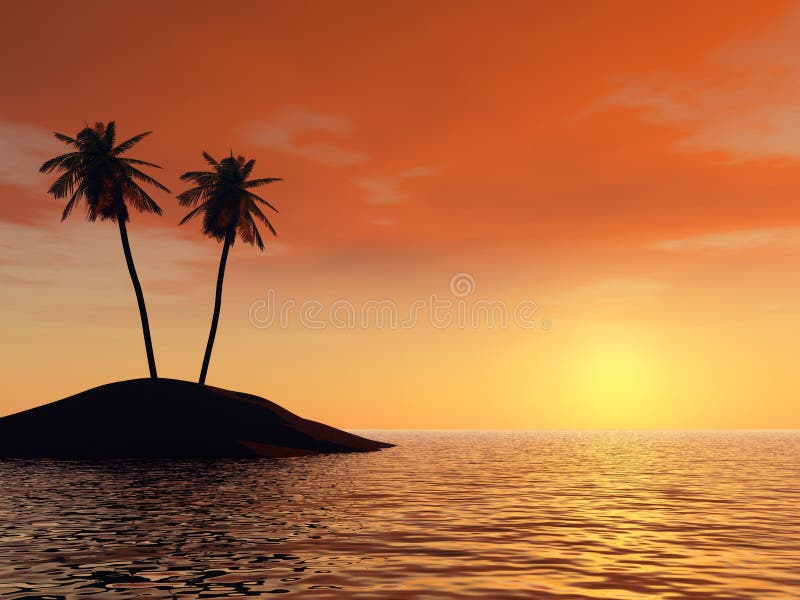 Sunset on a background of branches of palm trees