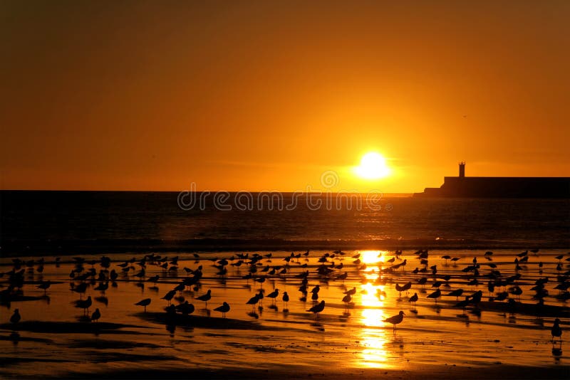 Sunset at the beach with a shinning sun. Serene beach atmosphere stock images, royalty-free photos and pictures