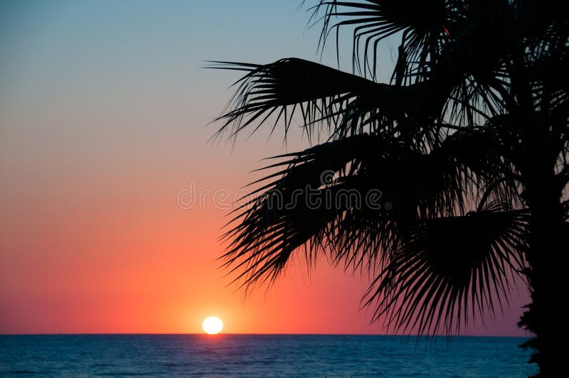 Sunset beach, evening sea, palm trees