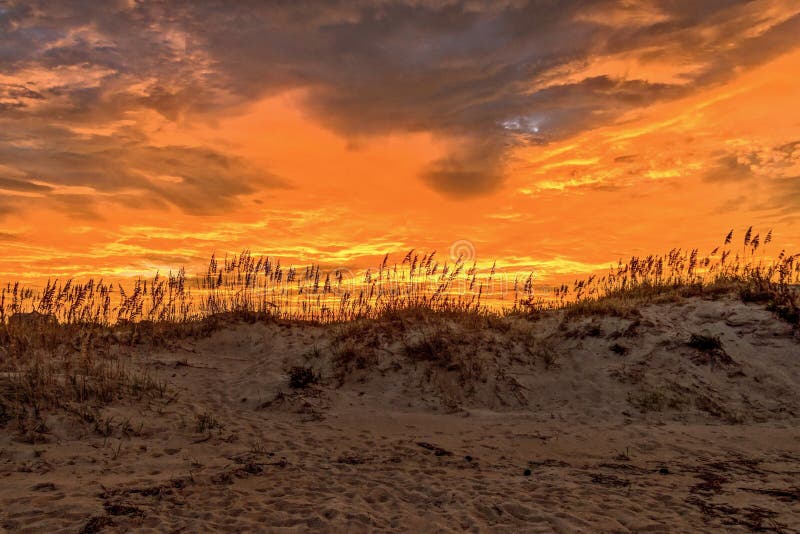 Sunset Behind the Dunes in Virginia Beach Stock Photo Image of beach
