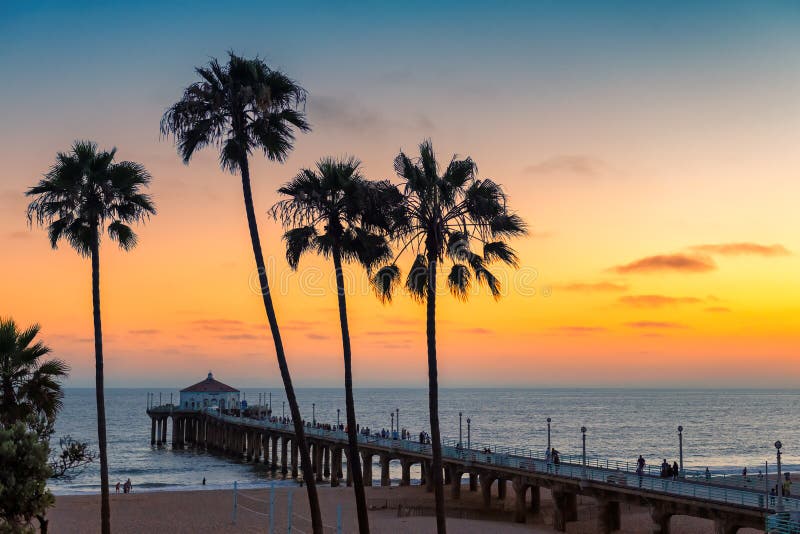 Palm trees at Sunset at California beach