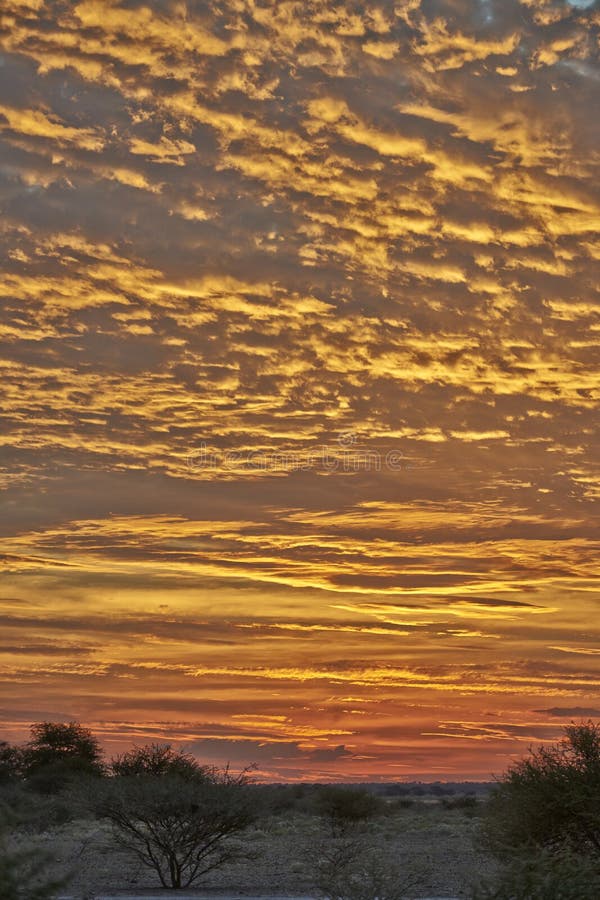 Sunset in Central Kalahari Game Reserve Stock Photo Image of tourism, desert 39161302