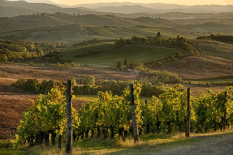 Sunset in Chianti