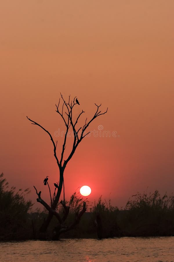 Sunset on the Chobe River