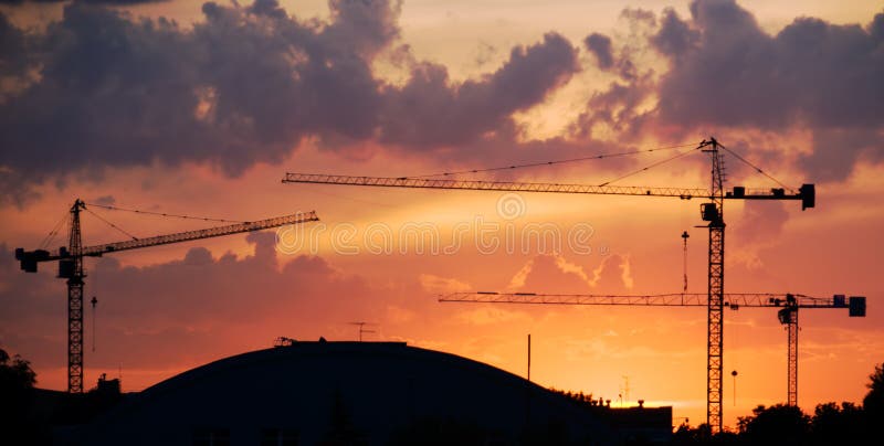 Sunset with Cranes