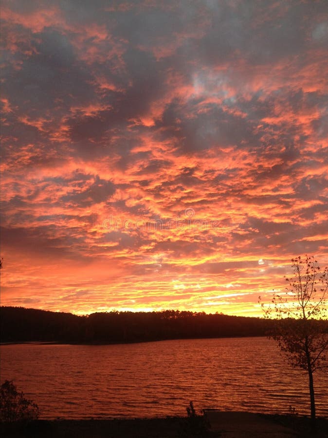Sunset stock image. Image of state, arkansas, park, daisy 78848083