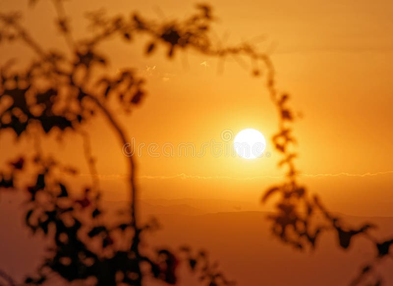 Sunset at the Dead Sea, with a view of the coast of Israel and a branch with leaves in the foreground on the beach of Amman, Jorda