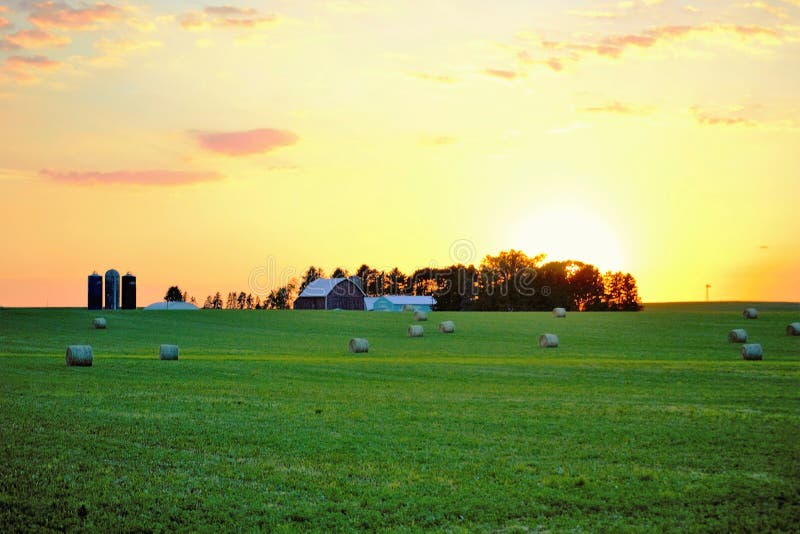 Sunset farm stock photo. Image of green, wisconsin, grass 137614130