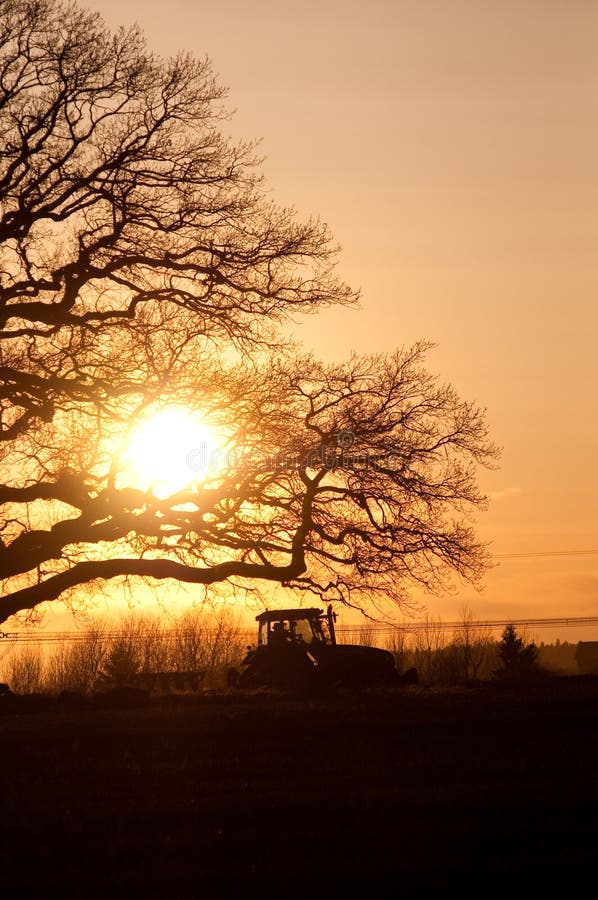 Sunset farming stock photo. Image of farming, sunset 14075306