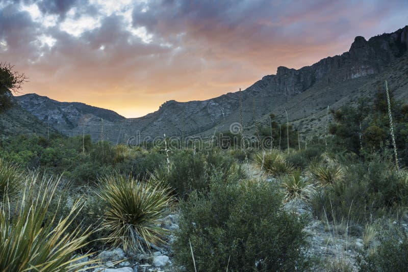 Sunset in Guadalupe Mountains National Park Stock Image Image of