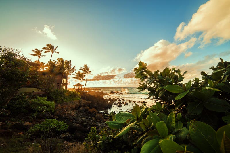 Sunset at Hawaii. stock photo. Image of island, landscape - 93191992