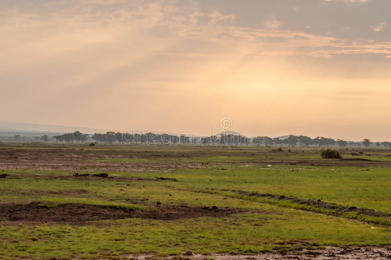 Sunset On The Hills And A Bed Of Palm Trees In The Amboseli In K