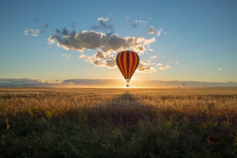 Sunset and a hot air balloon lands in canola in Alberta prairies stock images Sunset and a hot air balloon lands in canola in Alberta prairies stock images