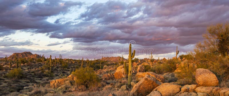 Sunset Image Of Browns Ranch Preserve In North Scottsdale, AZ