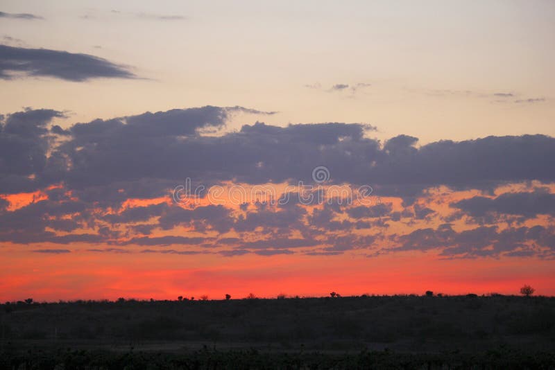 Sunset in Kalahari Desert stock photo. Image of desolate 2740444