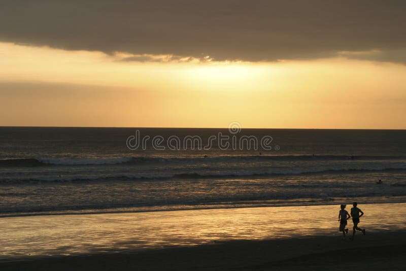 Sand dollar on beach stock image. Image of waves, life - 360571
