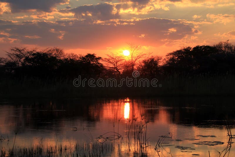 Sunset at Kwando River royalty free stock photo