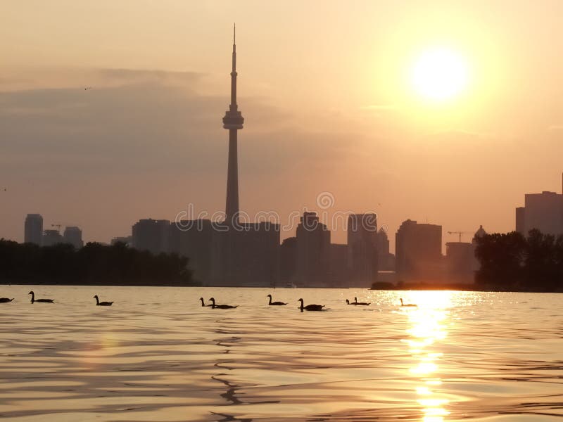 Sunset Lake view of downtown Toronto