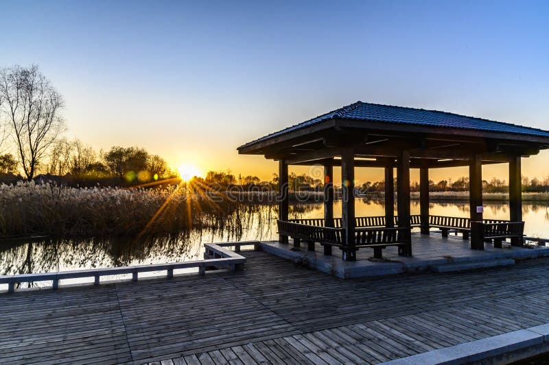 Sunset Landscape of Changchun Beihu National Wetland Park royaltyfria foton Sunset Landscape of Changchun Beihu National Wetland Park royaltyfria foton