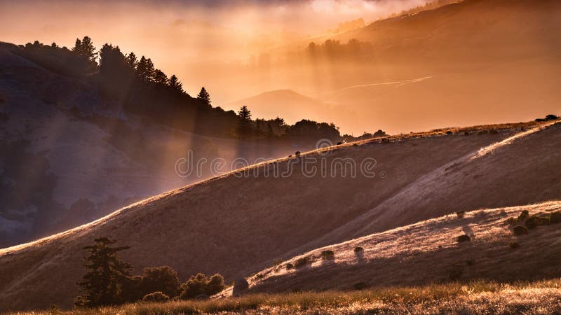 Sunset landscape with sun rays illuminating hills and valleys in Santa Cruz mountains; San Francisco Bay Area, California