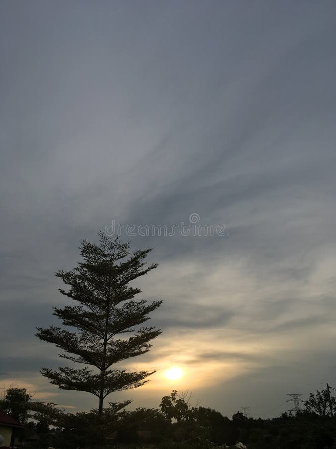 Sunset lover royalty free stock photo Sunset lover royalty free stock photo