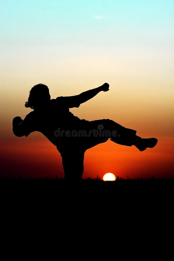 Sunset Martial Arts stock photography