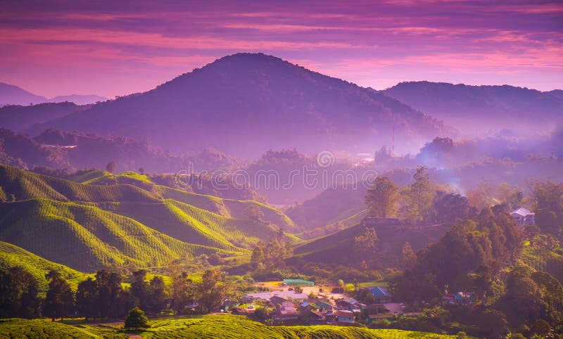 Sunset mountains village on tea plantation hills