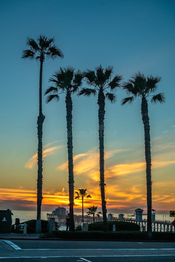 Sunset by Oceanside Pier, Palms and the Pacific Oceanin the famous surf city in California USA