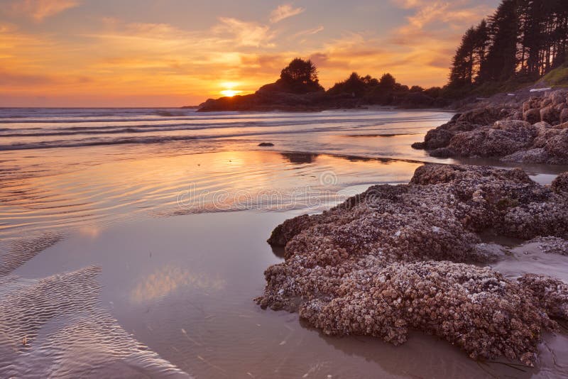 Sunset over the beach of Cox Bay, Vancouver Island, Canada