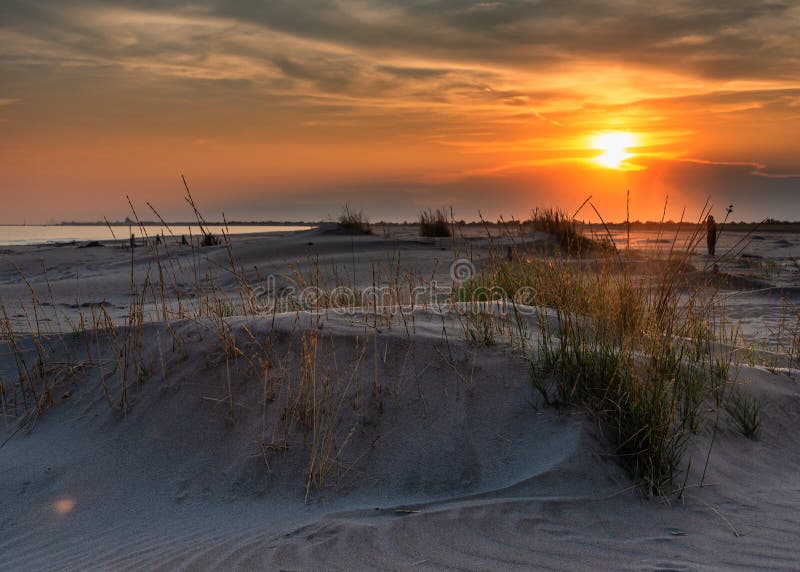 Sunset over the dunes of Camargue