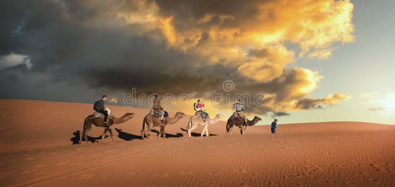 Camel caravan in the Sahara desert near Merzouga, Morocco