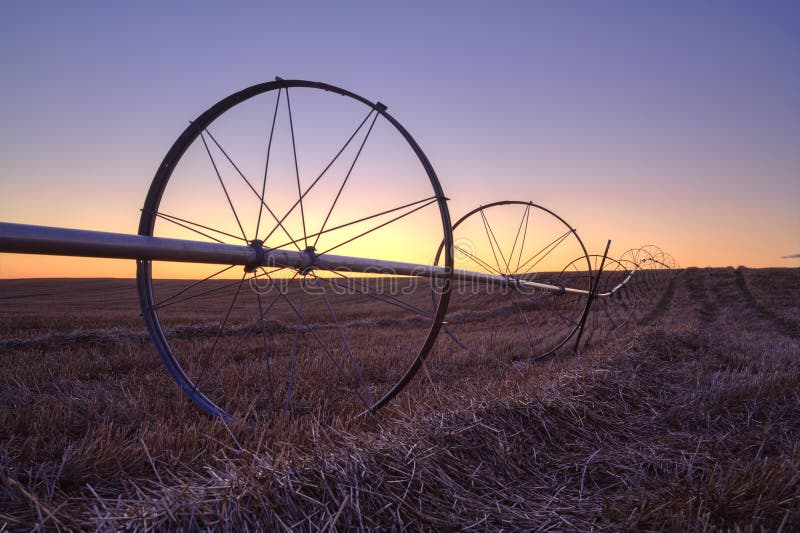 Sunset over a farm field.