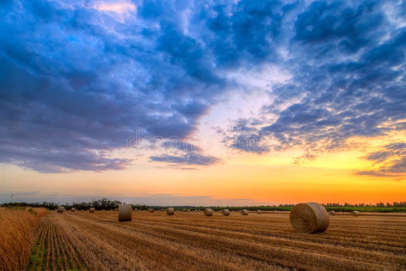 Sunset over farm field with hay bales