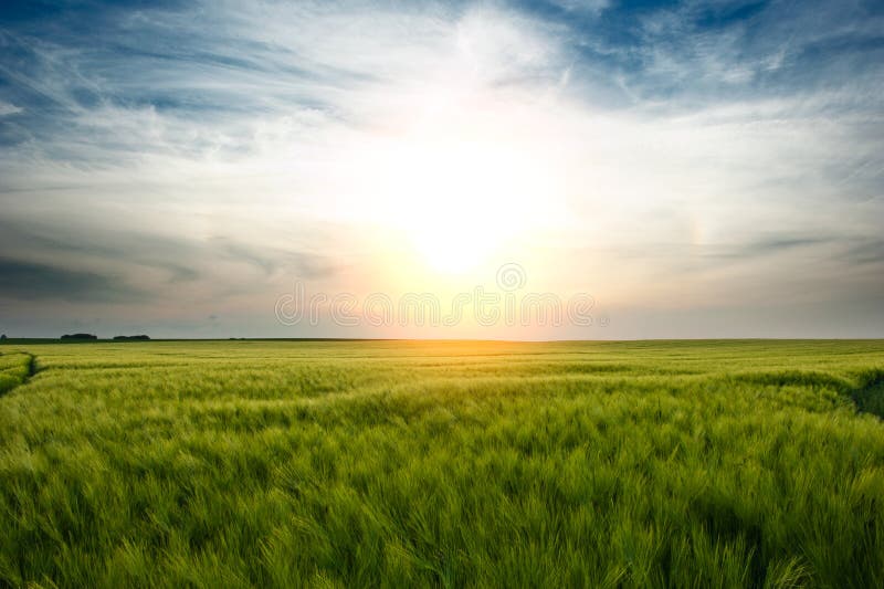 A sunset over a field stock photography A sunset over a field stock photography