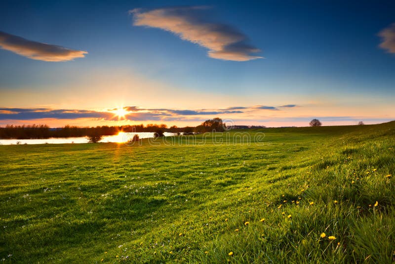 Sunset over flowering meadows