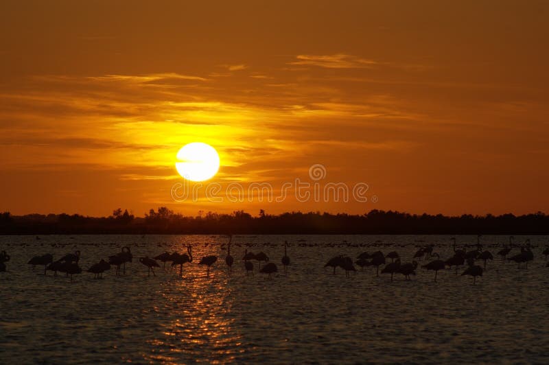 Sunset over lake