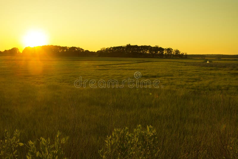 Sunset over marsh grasses, Meigs Point, Hammonasset Beach, Madis royalty free stock photos Sunset over marsh grasses, Meigs Point, Hammonasset Beach, Madis royalty free stock photos