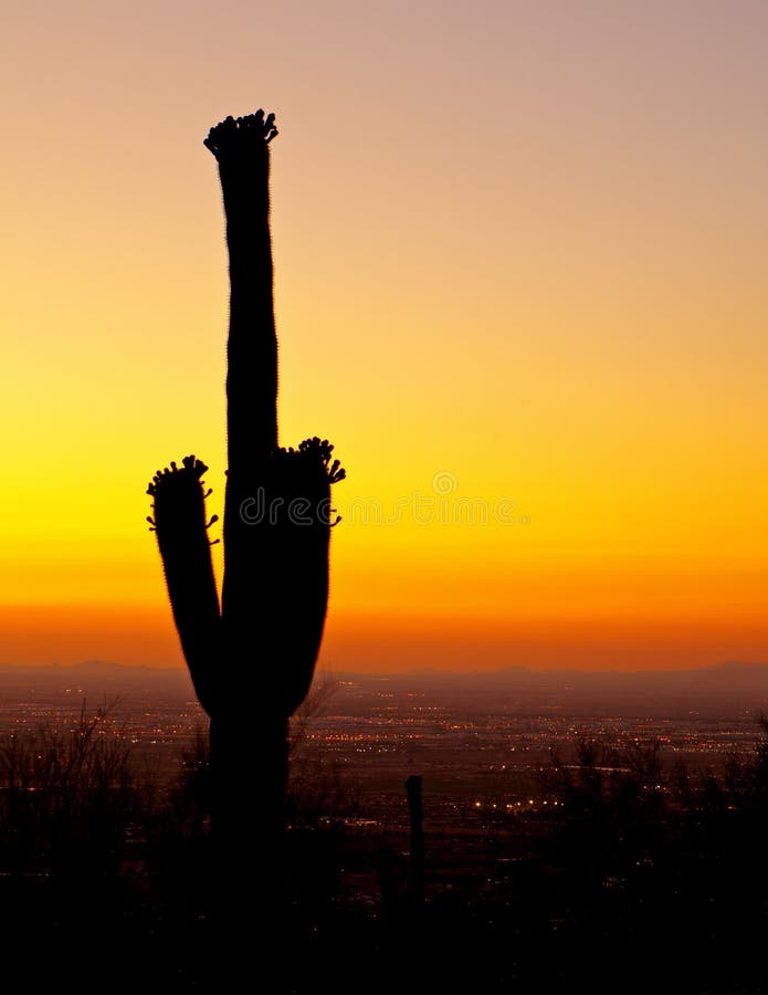 Sunset over Phoenix With Cactus stock images