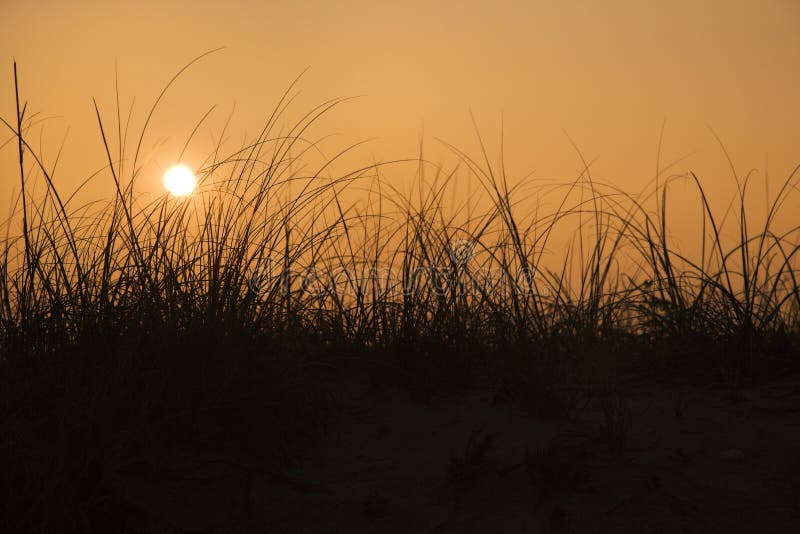 Sunset over sand dune