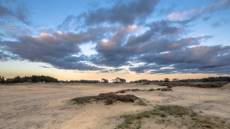 Sunset over sand dunes in Hoge Veluwe