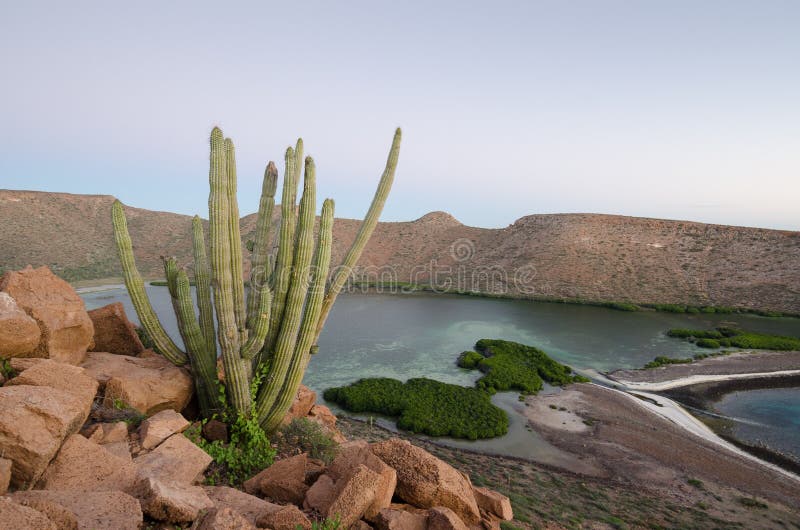 Sunset over the sea of cortez, baja california royalty free stock image Sunset over the sea of cortez, baja california royalty free stock image