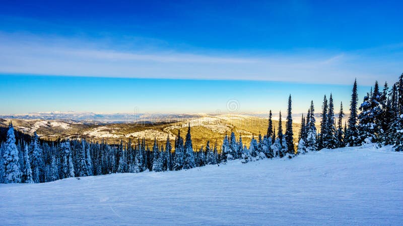 Sunset over the Snow covered trees in the winter landscape of the high alpine at the ski resort of Sun Peaks in the Shuswap Highlands of central British Columbia, Canada